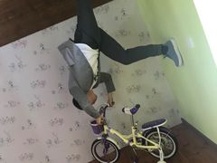 -金山农民画村-枫泾波兰倒置屋