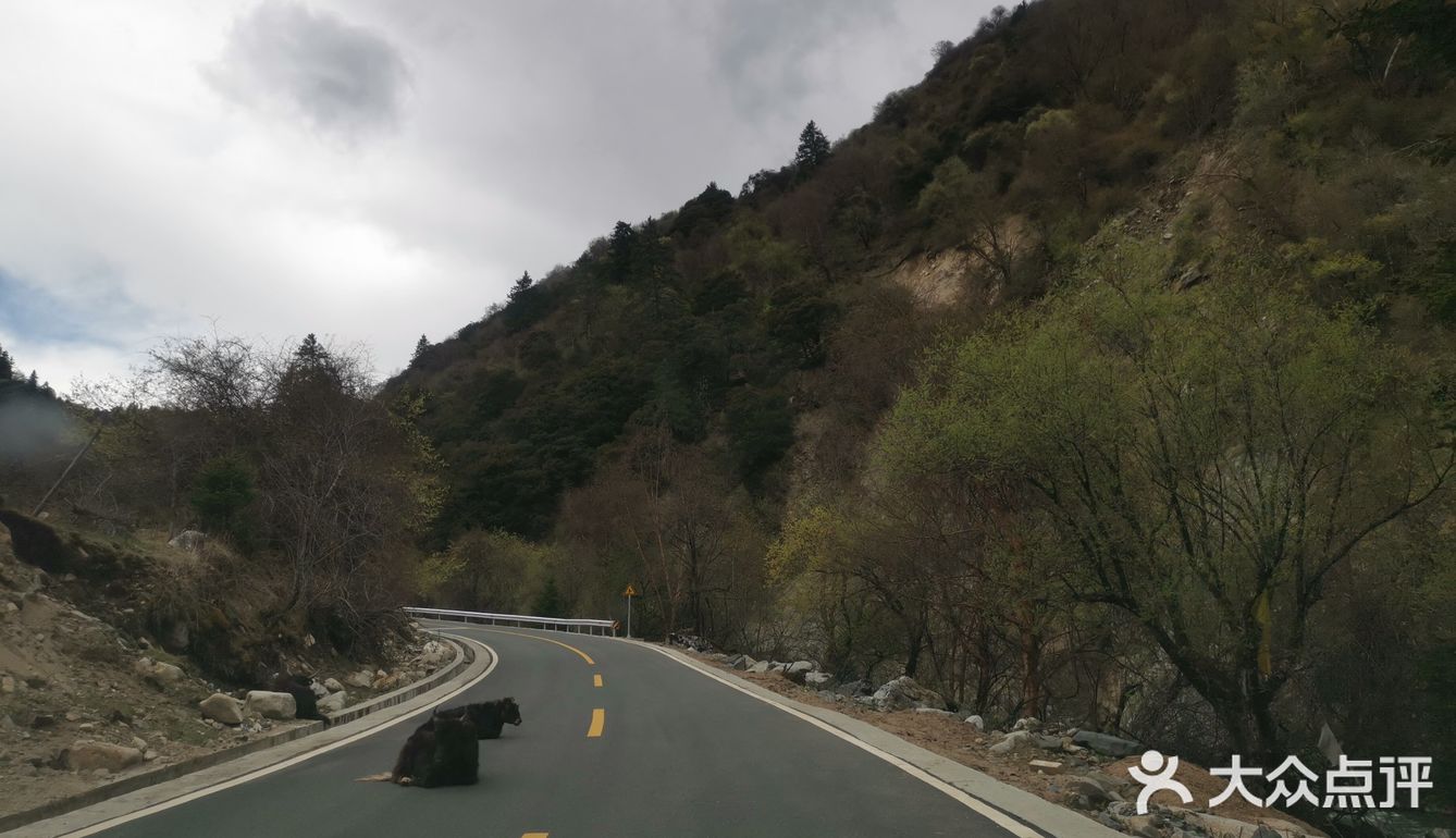 空山幽谷不羨仙