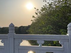 -海珠湖公园