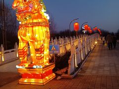 -洛阳市隋唐城遗址植物园