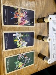 -芳香乐府疗愈空间·SPA·冥想