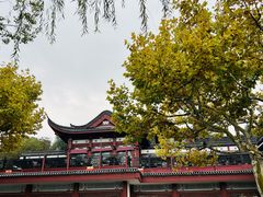 -楼外楼(西湖景区孤山路店)