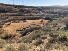 -塞罕坝国家级自然保护区