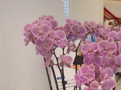 -皓齿连锁·雅贝健口腔·种植·矫正中心(虹口曲阳路店)