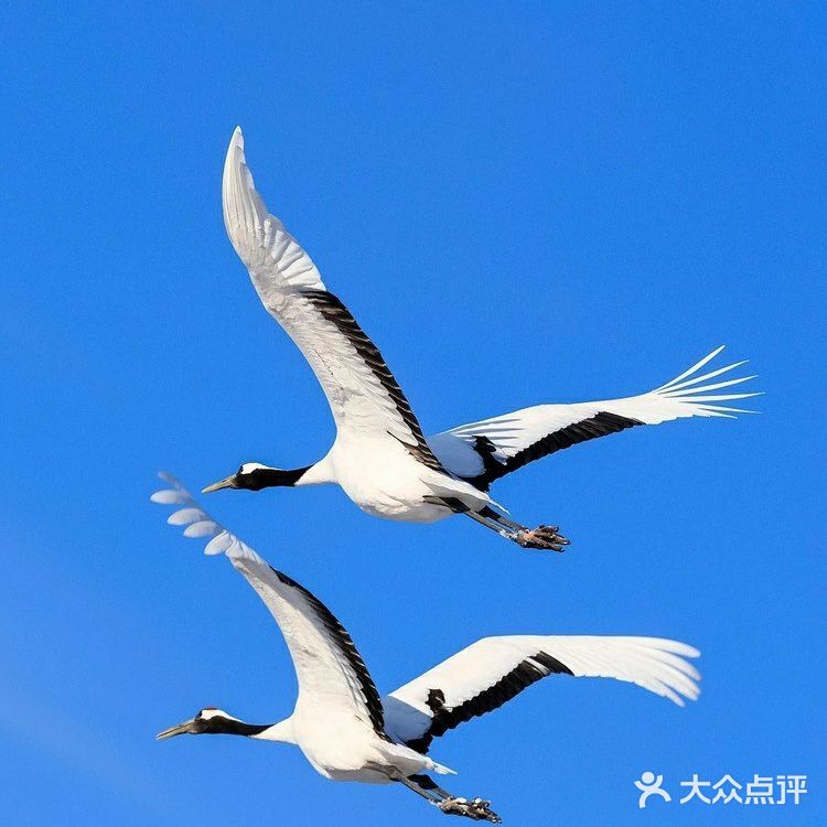 昆明拍照攻略——圆通山