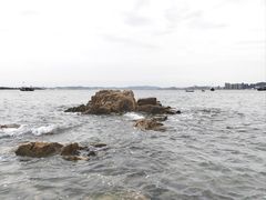 -海源公园
