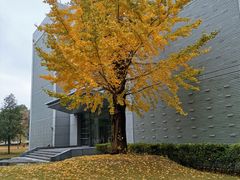 -同济大学(嘉定校区)