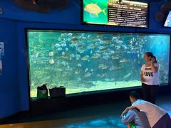 -烟台海昌鲸鲨海洋公园