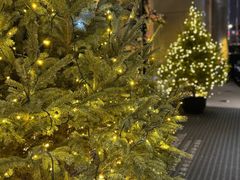 -上海锦江汤臣洲际大酒店壹阶层