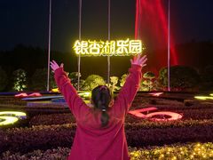 -南京银杏湖乐园