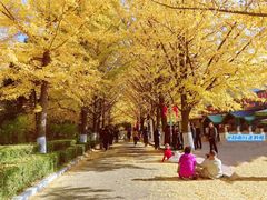 -辽东学院(南校区)