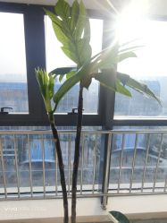 -HEYAN荷妍专业脱毛连锁机构