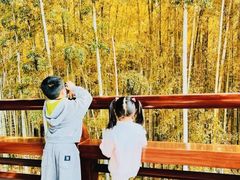 -虞山城墙
