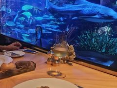 -迪拜帆船酒店海底餐厅