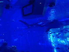 -成都浩海立方海洋公园