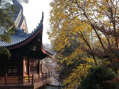 -杭州湖滨in77