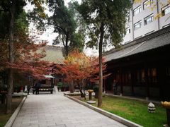 -罔极寺