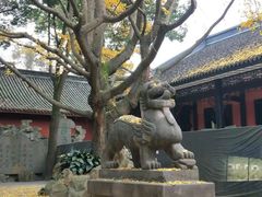 -成都武侯祠博物馆