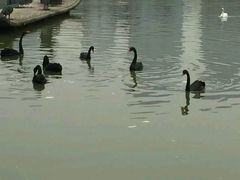 景点-南昌动物园