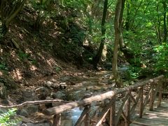 -红崖峡谷景区