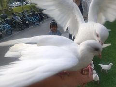 -IPARK购物中心
