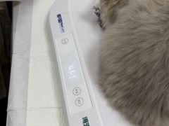 -芭比堂动物医院·24小时·眼科中心(深圳中心)
