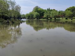 -堤角公园