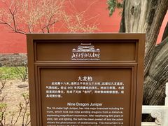 -北京市劳动人民文化宫(太庙)