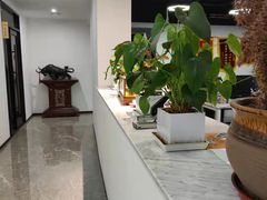 -居丽装饰空间设计(总部)