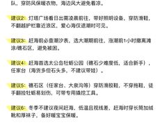 -日照海滨国家森林公园