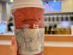 -雾与山茶(大禹城店)