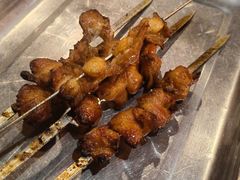 -福苗小骆驼烧烤(莲湖路店)