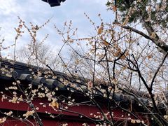 -广富林郊野公园