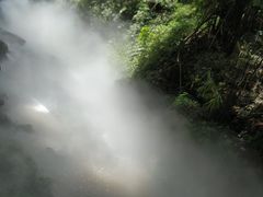 -川西竹海景区