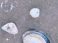 -启东黄金海滩景区