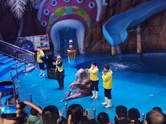 -烟台海昌鲸鲨海洋公园