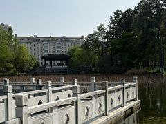 -范蠡湖公园