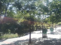 -大望京儿童游乐场