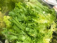-黔府豆米火锅野菜馆(南马店)