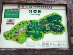 -西双版纳原始森林公园