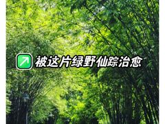 -晓港公园