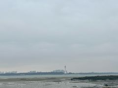 -北海金海湾红树林生态旅游区