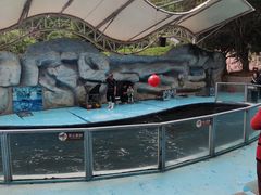 -泉州海丝野生动物世界