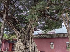 -福合埕牛口福·牛肉火锅·牛肉丸