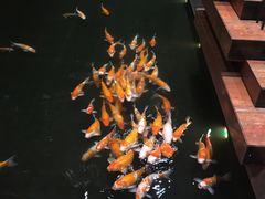 -顺丰国宴(工业博物馆店)