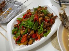 -煲来饱去冷水鱼
