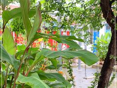 -姥家大锅台水库渔家