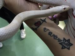 -藦茜花园宠物主题亲子互动体验馆(国顺东路店)