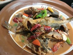 -阿峰饭店·本地土菜馆·农家土鸡煲·一品神仙鸡(报福店)