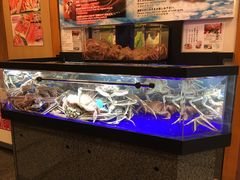 -蟹道乐(道顿堀本店)